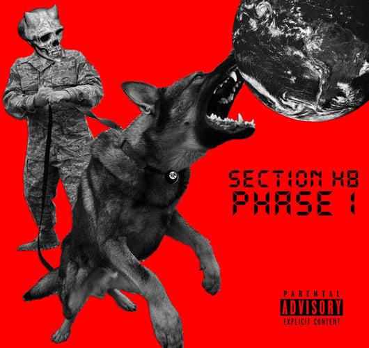 Section H8 : Phase 1 (7