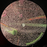 Odøn : Parasitic Fungi (12", EP)