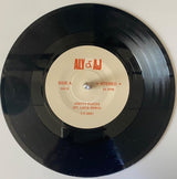 Aly & AJ : Pretty Places (St. Lucia Remix) (7", Single, Ltd)