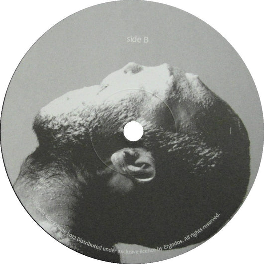 Sean Mac Erlaine - Long After The Music Is Gone