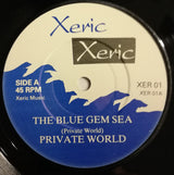 Private World : The Blue Gem Sea (7", Single)