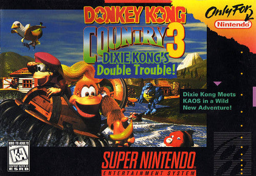 Donkey Kong Country 3 - SNES